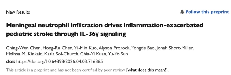 Melissa Kinkaid: New Insights into Pediatric Stroke and Neuroinflammation from Kuan and Sun Labs