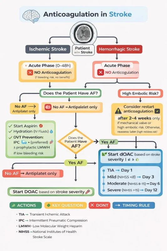 Mohammed M. Aboudeif: The Decision-Making Process for Anticoagulation in Stroke