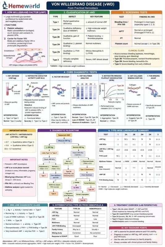 Ayesha Saleem: Bridging the Gap Between Awareness and Diagnosis of vWD in Pakistan