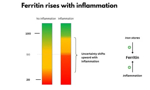 William Aird: Ferritin as a Probability Signal 1 William Aird: Ferritin as a Probability Signal
