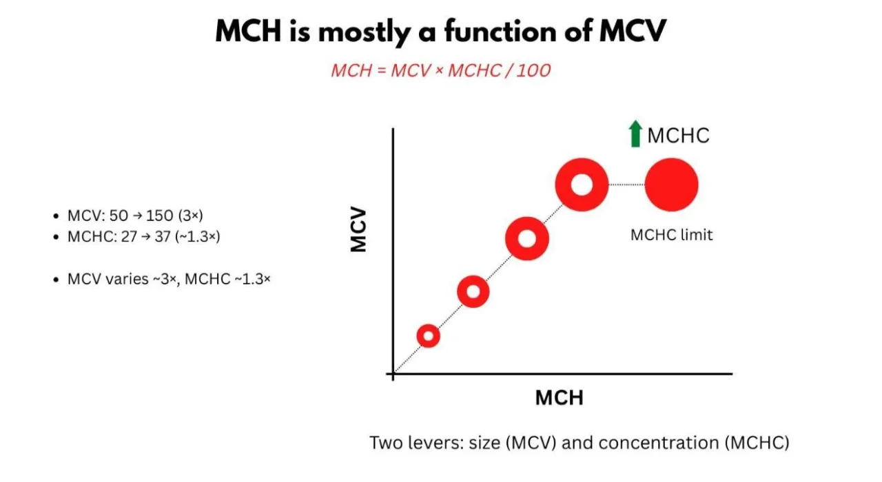 William Aird: Do We Really Need MCH?