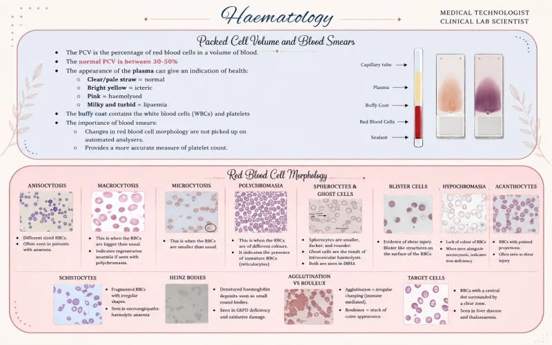 Dip Ghosh: Understanding Blood - From Sample to Diagnosis