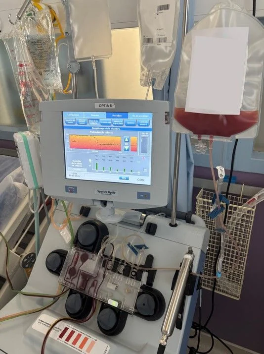 Maxime Dely: The Human Connection Behind Stem Cell Donation 1 Maxime Dely: The Human Connection Behind Stem Cell Donation