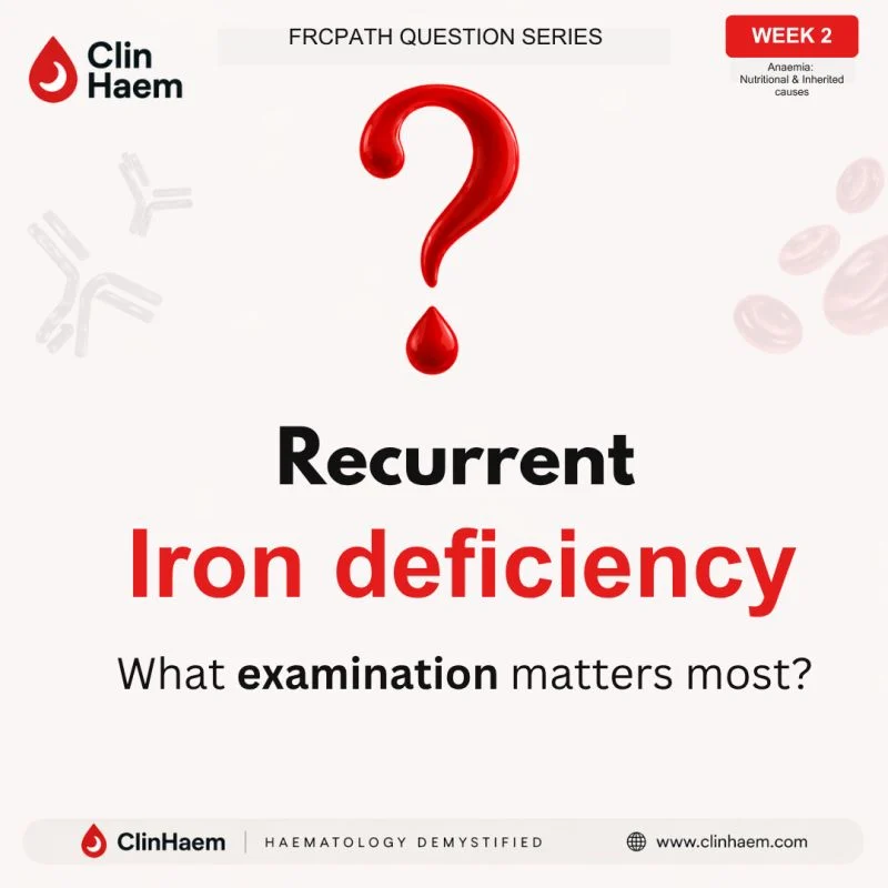 Hussnain Javaid: The Importance of Targeted Examination in Iron Deficiency Anaemia