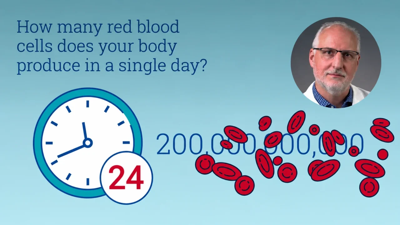 Uncovering the Mysteries Behind Rare Blood Disorders – Mass General Brigham Research
