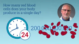 Uncovering the Mysteries Behind Rare Blood Disorders - Mass General Brigham Research