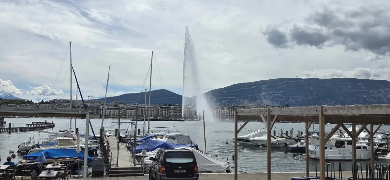 Brian O Mahony: Ahead of the World Health Assembly in Geneva