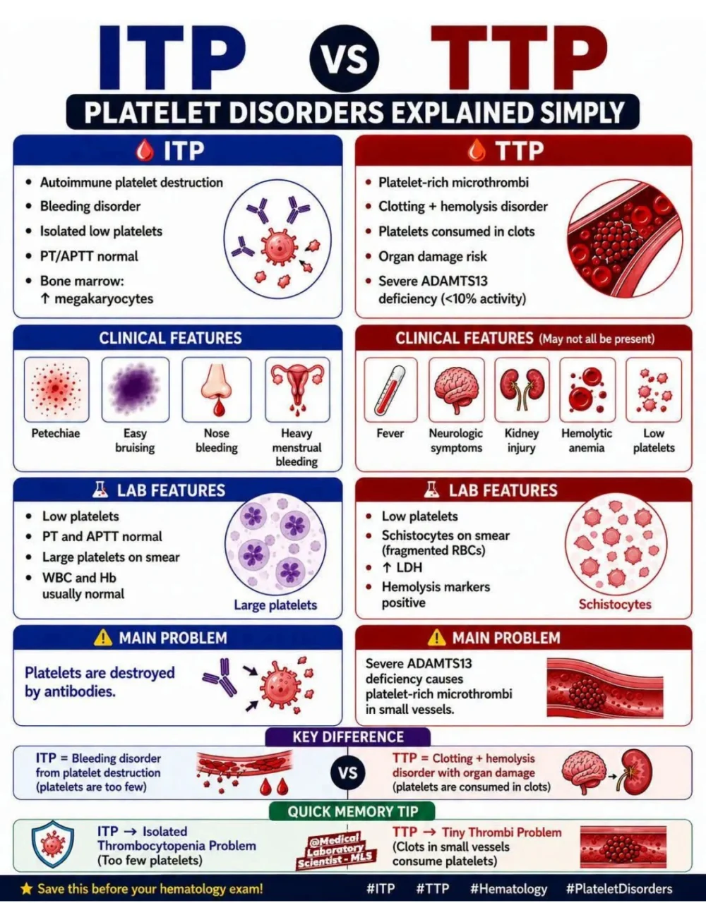 Tareq Abadl: Key Differences Between Immune Thrombocytopenic Purpura and Thrombotic Thrombocytopenic Purpura
