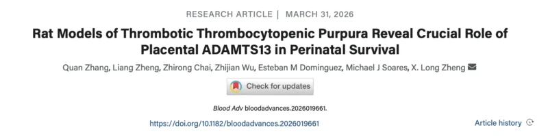 X. Long Zheng: The Crucial Role of Fetal-Placental ADAMTS13 in Perinatal Survival is Revealed