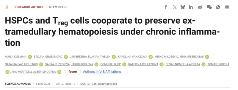 Maria Kuzmina: How Chronic Inflammation Affects Extramedullary Hematopoiesis