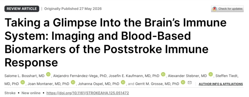 Gerrit M. Grosse: How Integrative Biomarker Approaches May Improve Our Understanding of Brain-Immune Crosstalk After Stroke