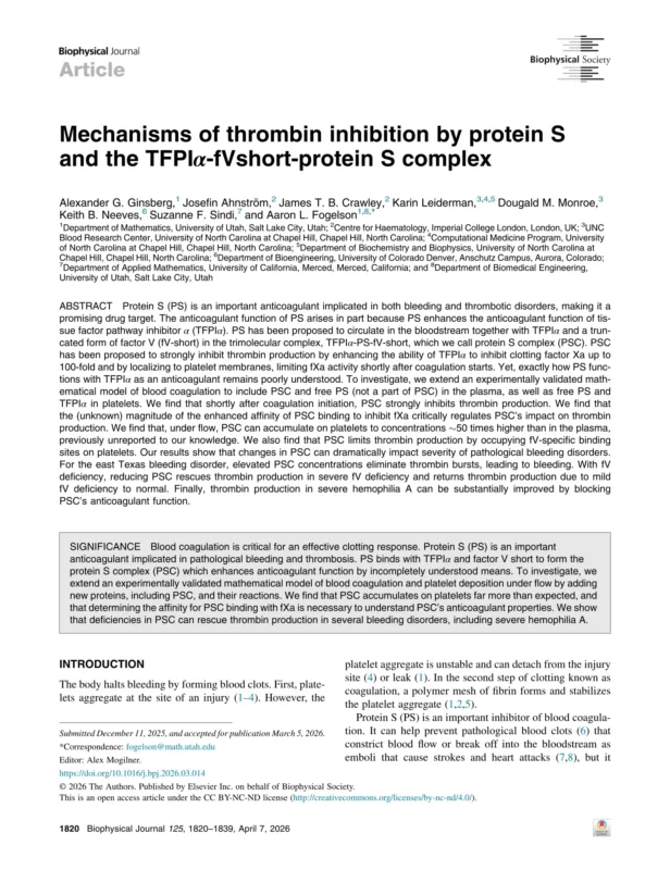 Luma Mahairi: Computational Insights into the Protein S Complex and the Future of Precision Hematology 1 Luma Mahairi: Computational Insights into the Protein S Complex and the Future of Precision Hematology