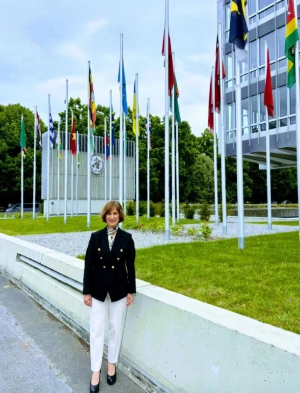 Ozlem Fidanci: Reflections From WHA79 on the Future of Stroke Care 1 Ozlem Fidanci: Reflections From WHA79 on the Future of Stroke Care