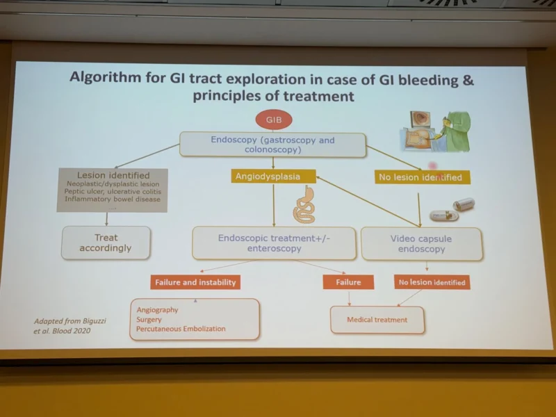Wolfgang Miesbach: How Should We Approach GI Angiodysplasia in VWD?