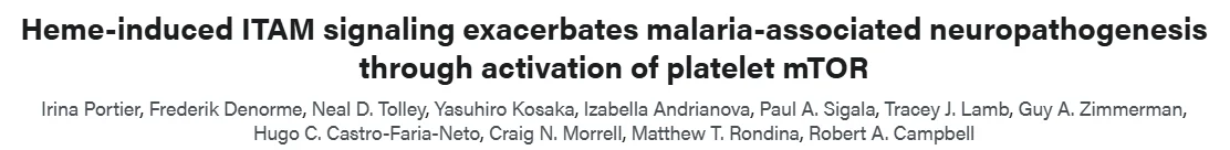 Irina Portier: How Heme-Driven Platelet Signaling Worsens Malaria Neuropathogenesis