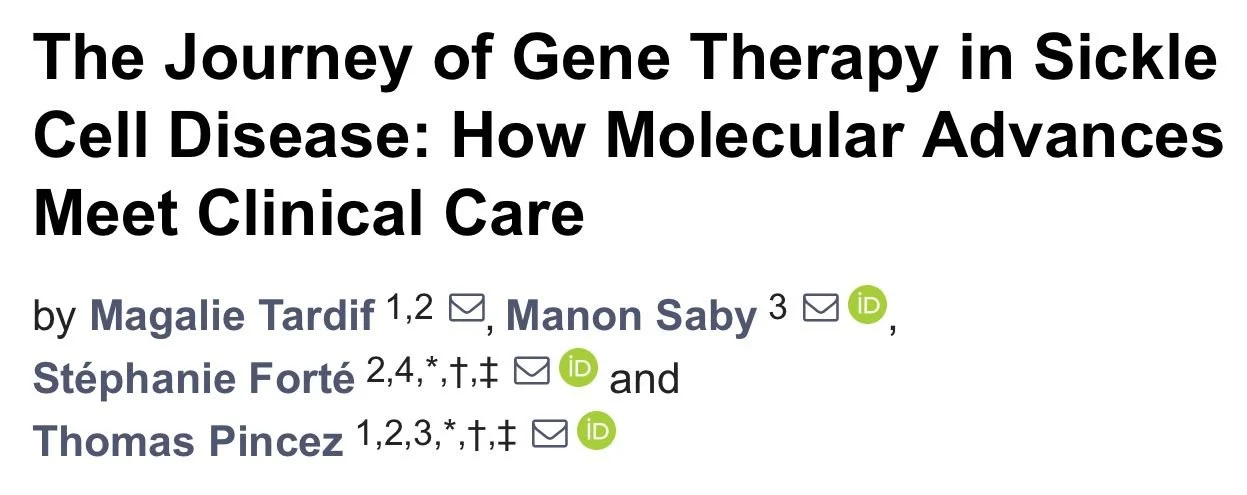 Stéphanie Forté: Gene Therapy in Sickle Cell Disease from Molecular Advances to Clinical Care