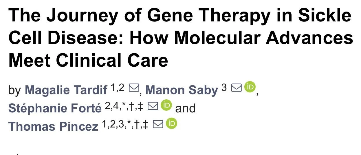 Thomas Pincez: Emerging Challenges in Sickle Cell Disease Gene Therapy and Cancer Risk