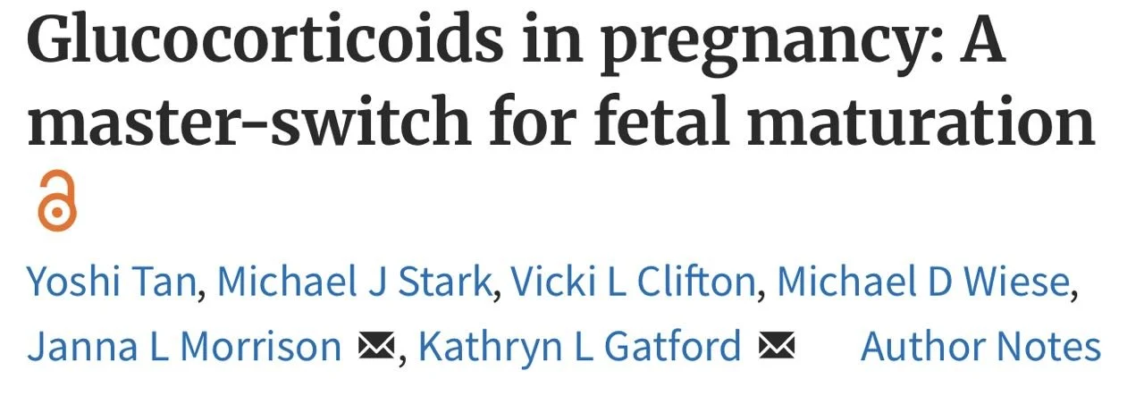 Michael Stark: How Glucocorticoids in Pregnancy Affect Fetal Development and Why It Matters 1 Michael Stark: How Glucocorticoids in Pregnancy Affect Fetal Development and Why It Matters