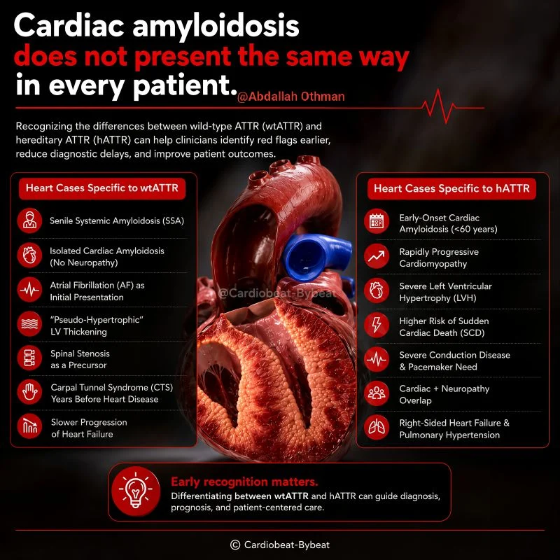 Abdallah Othman։ The Hidden Pattern of Cardiac Amyloidosis in HFpEF