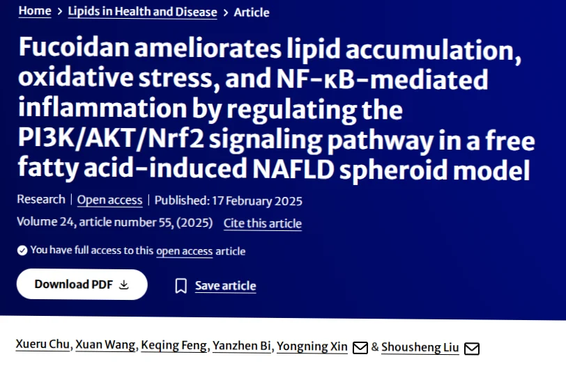 Maria Cherska: Exploring the Role of Fucoidan in Metabolic Liver Disease