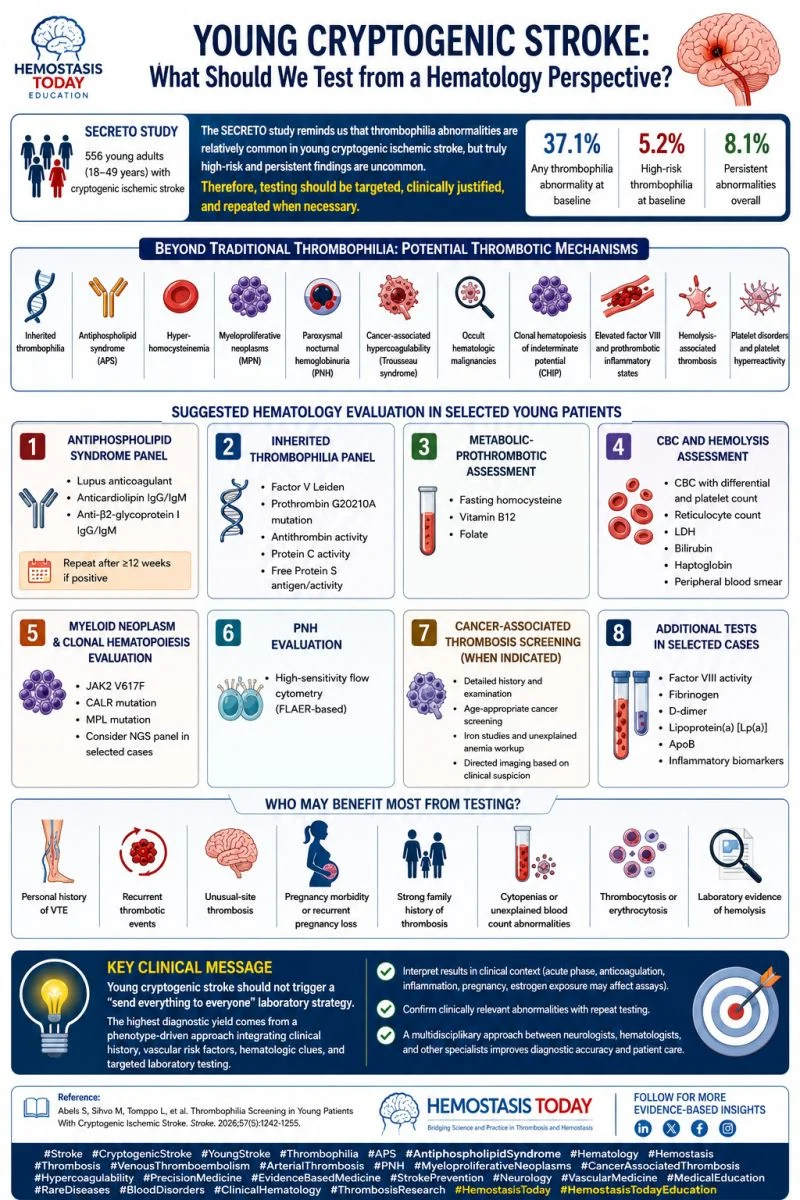 Heghine Khachatryan: What Should We Test From a Hematologic Perspective in Young Cryptogenic Stroke? 1 Heghine Khachatryan: What Should We Test From a Hematologic Perspective in Young Cryptogenic Stroke?