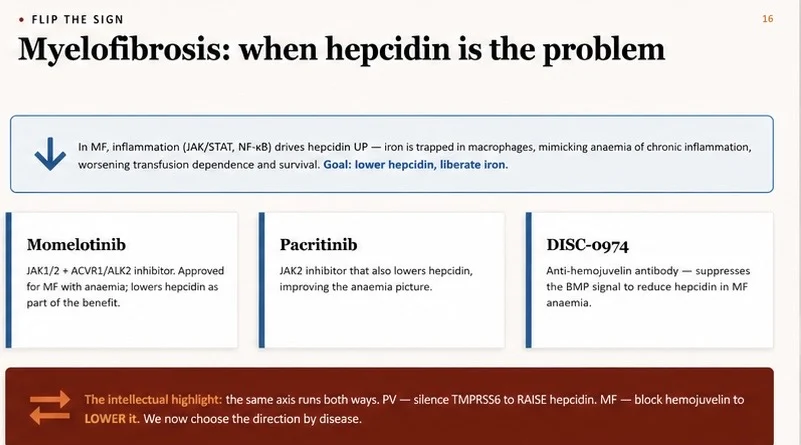 New Therapeutic Strategies Targeting Iron Metabolism