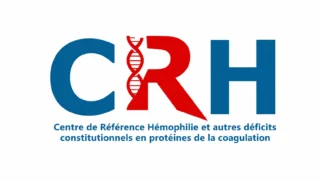 Balancing Therapeutic Progress and Emergency Preparedness in Hemophilia - CRH French Reference Center for Hemophilia Lyon