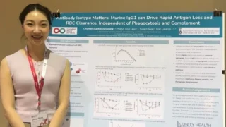 Chuhan Dong: Presenting My Research on Antibody-Mediated RBC Clearance at Canadian Blood Services