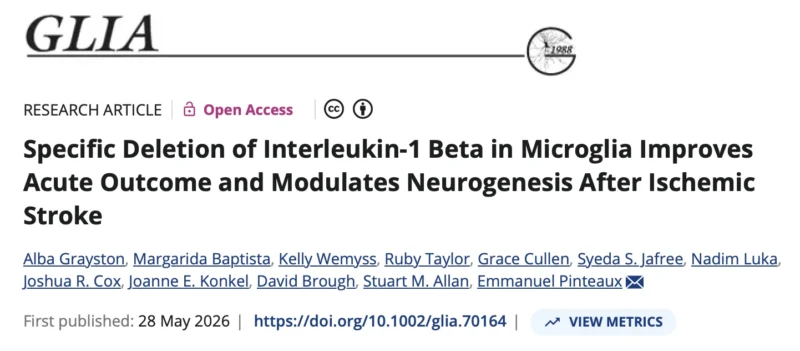 Alba Grayston Morales: How IL-1 Signaling Drives Injury and Repair in The Ischaemic Brain