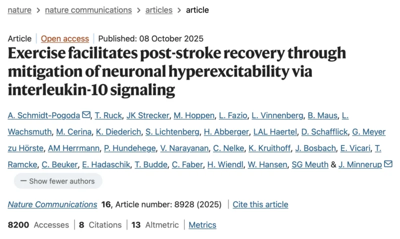 Lucia Härtel: Exercise, IL-10 Signaling, and Post-Stroke Brain Plasticity