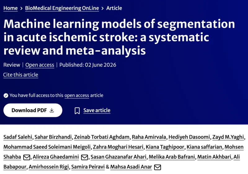 Mahsa Asadi Anar: The Next Challenge for AI in Stroke Imaging