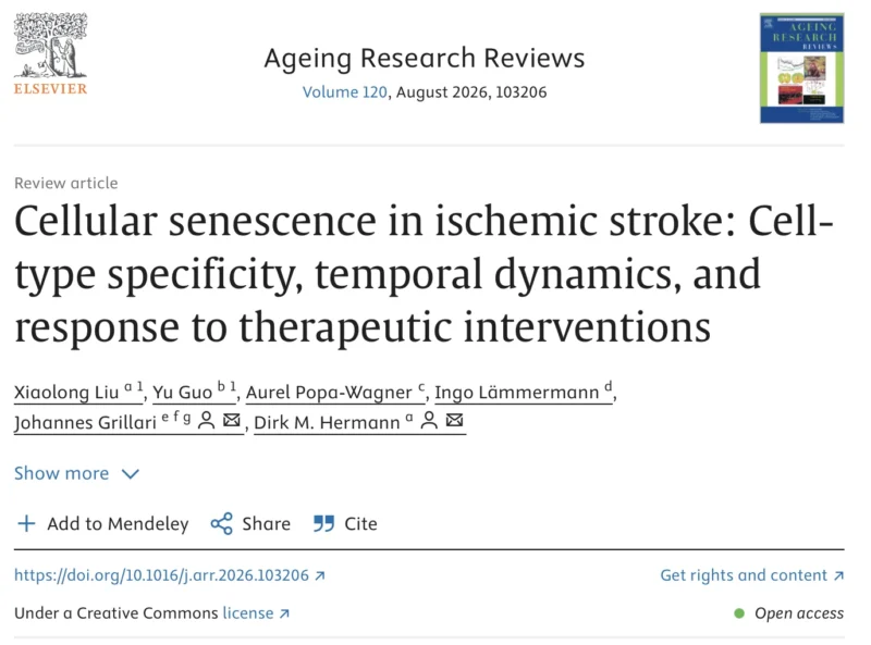 Johannes Grillari: Post-Stroke Senescence May Be More Adaptive Than Previously Thought 1 Johannes Grillari: Post-Stroke Senescence May Be More Adaptive Than Previously Thought