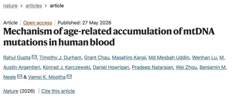 Wolfgang Miesbach: How Clonal Hematopoiesis May Explain Age-Related Mitochondrial Mutations