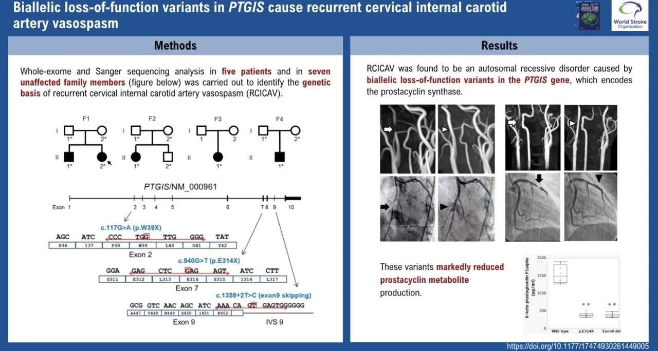 Recurrent Cervical Internal Carotid Vasospasm Linked to Autosomal Recessive PTGIS Defect – International Journal of Stroke