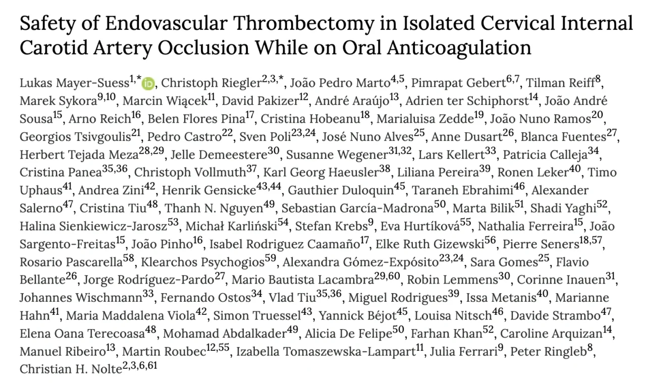 Lukas Mayer-Suess: How to Best Care for Patients Suffering Stroke Due to Isolated Cervical Internal Carotid Artery Occlusion