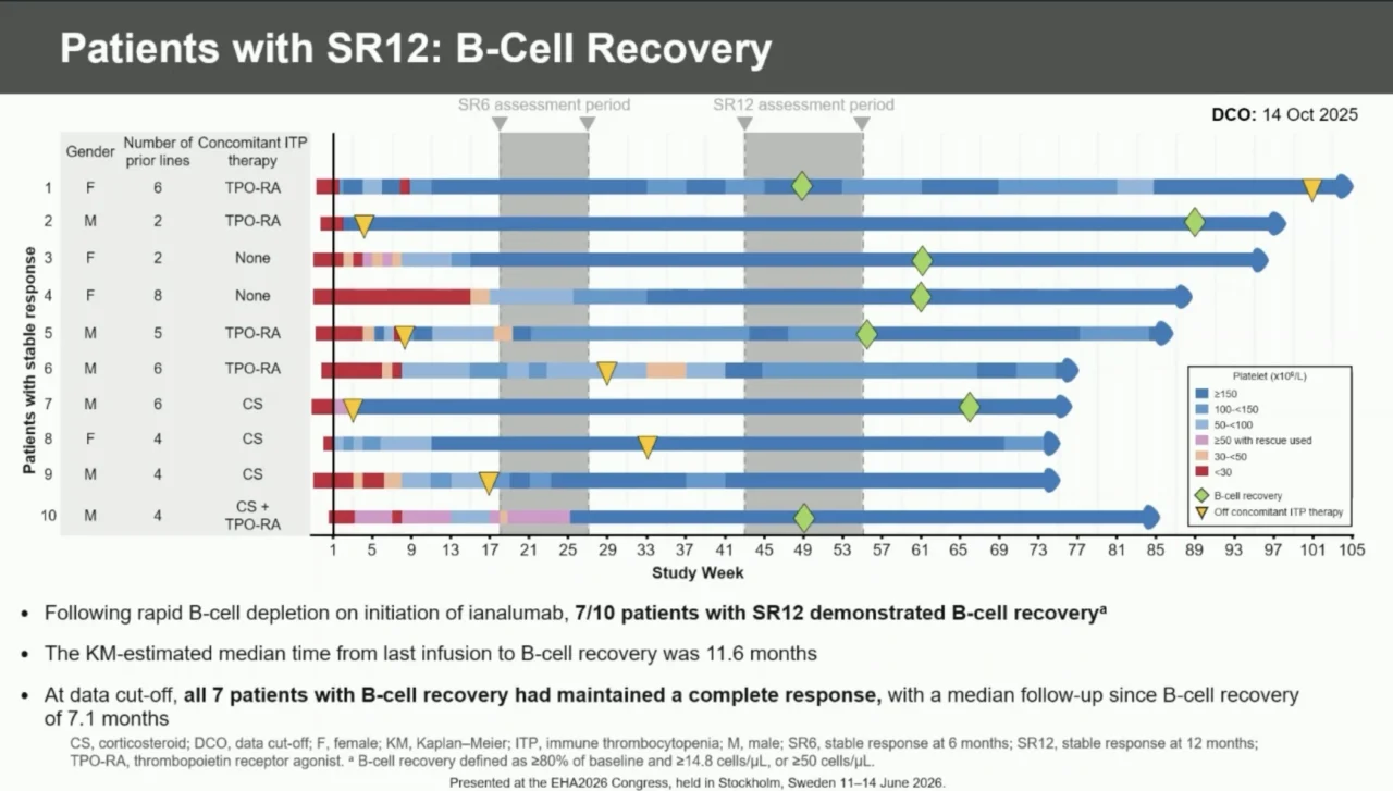 VAYHIT3: Durable 12-Month Responses with Ianalumab in Primary ITP