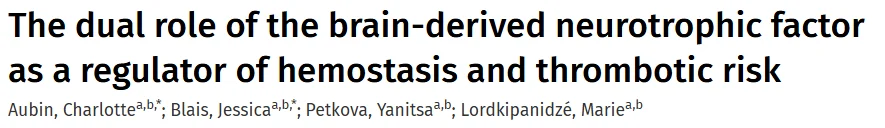 Charlotte Aubin: A New Perspective on BDNF's Influence on Hemostasis and Thrombotic Risk