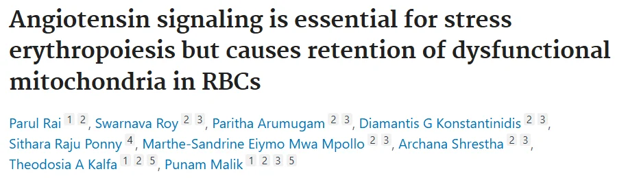 Swarnava Roy: Linking Angiotensin Signaling to Oxidative Stress and Organ Damage in Sickle Cell Anemia