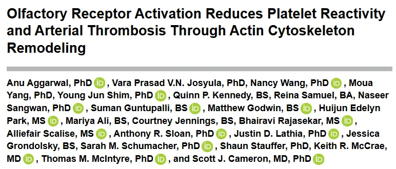 Scott Cameron: Olfactory Receptor Signaling as a Druggable Target in Cardiovascular Disease 1 Scott Cameron: Olfactory Receptor Signaling as a Druggable Target in Cardiovascular Disease