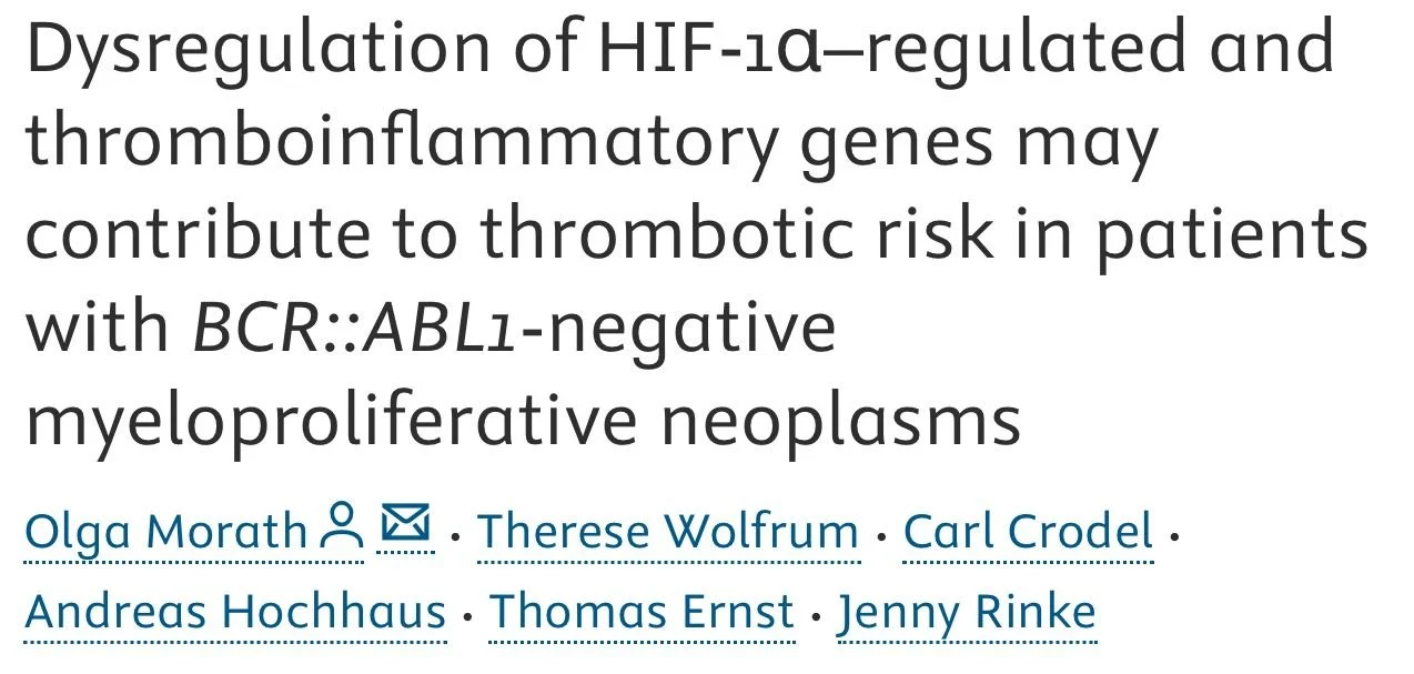 Heghine Khachatryan: New Insights on Thrombosis in BCR-ABL1 Negative Myeloproliferative Neoplasms