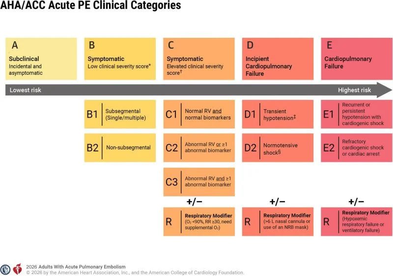 Hamza Mohamed: Key Highlights from the 2026 AHA/ACC Multisociety Guideline on Acute PE 1 Hamza Mohamed