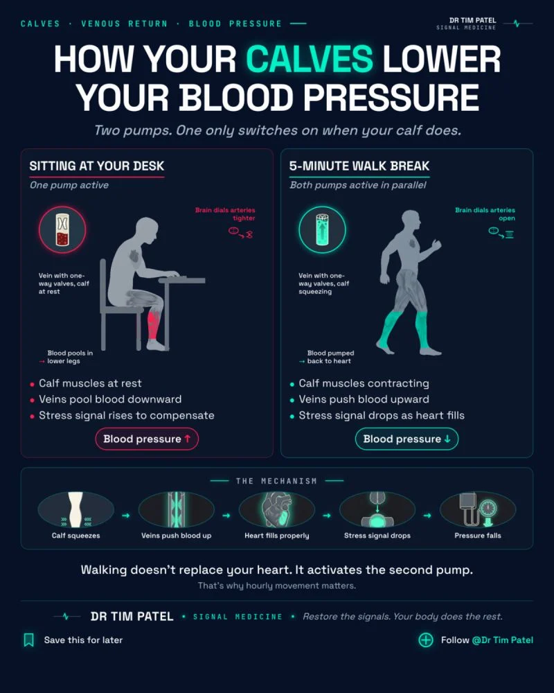Tim Patel: How Regular Movement Helps Keep Blood Flowing Throughout the Day