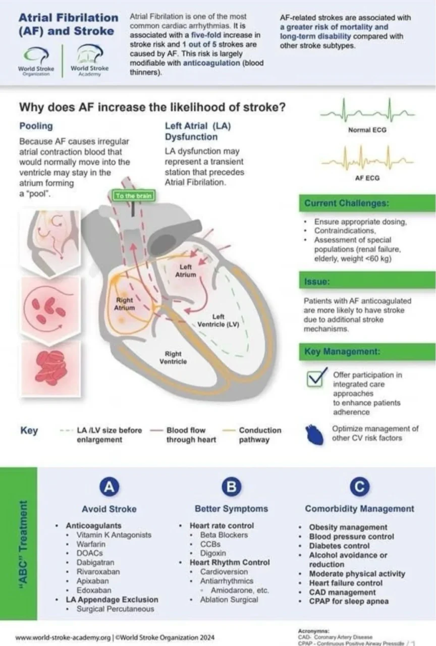 Zain Khalpey: Atrial Fibrillation as the Hidden Driver of Preventable Ischemic Stroke