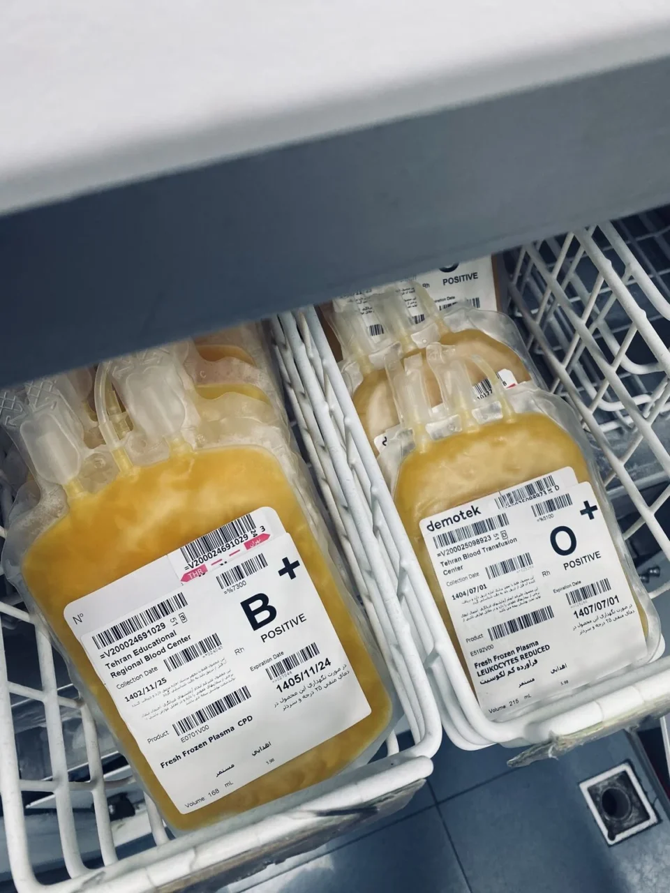 Farnaz Poorhasan: FFP is More Than Just Frozen Blood Components