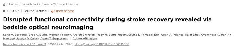 Morgan Fogarty: A New Era of Continuous Bedside Brain Monitoring After Stroke