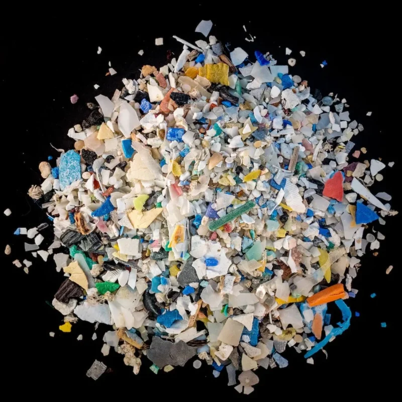 Caitlin Raymond: Can Therapeutic Plasma Exchange Reduce Microplastics? 1 Caitlin Raymond: Can Therapeutic Plasma Exchange Reduce Microplastics?