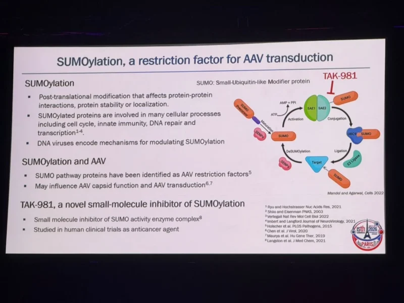 Wolfgang Miesbach: How SUMOylation Limits AAV Gene Therapy 1 Wolfgang Miesbach: How SUMOylation Limits AAV Gene Therapy