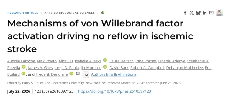 Frederik Denorme: How von Willebrand Factor Drives the No-Reflow Phenomenon in Stroke