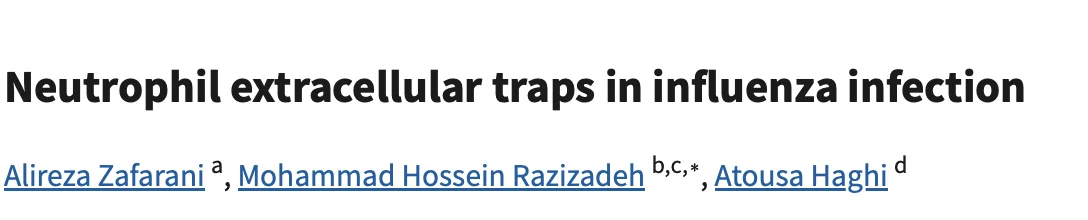 Jim Hoffman: Targeting NETosis to Restore Immune Homeostasis