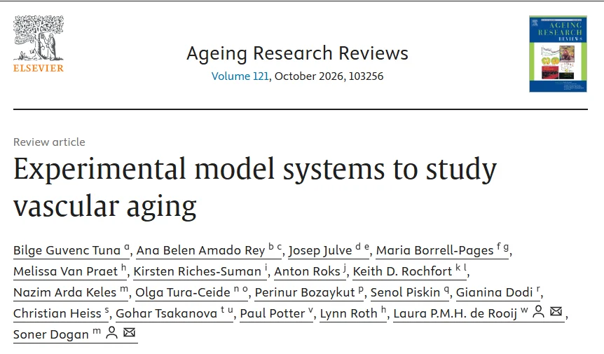 Christian Heiss: Why Better Models are the Next Frontier in Vascular Ageing 1 Christian Heiss